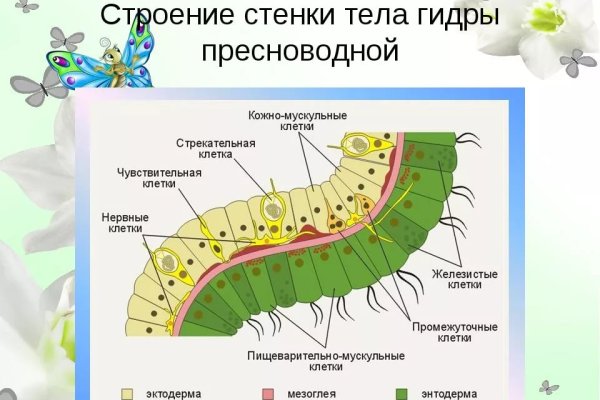 Кракен 13at